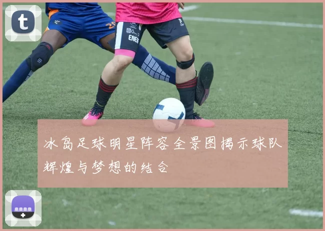 冰岛足球明星阵容全景图揭示球队辉煌与梦想的结合