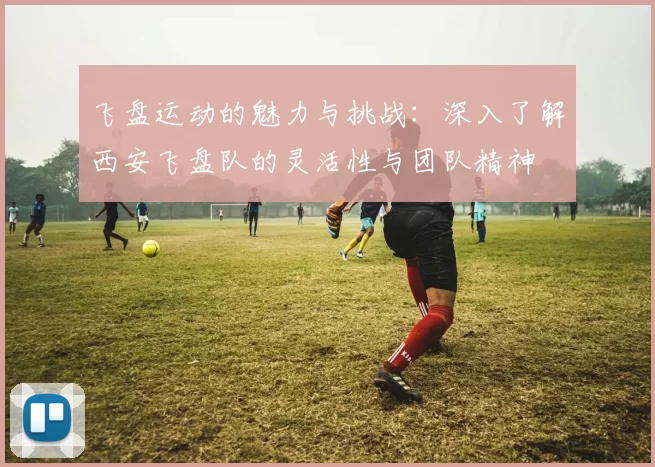 飞盘运动的魅力与挑战：深入了解西安飞盘队的灵活性与团队精神