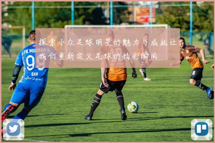 探索小众足球明星的魅力与成就让我们重新定义足球的精彩瞬间