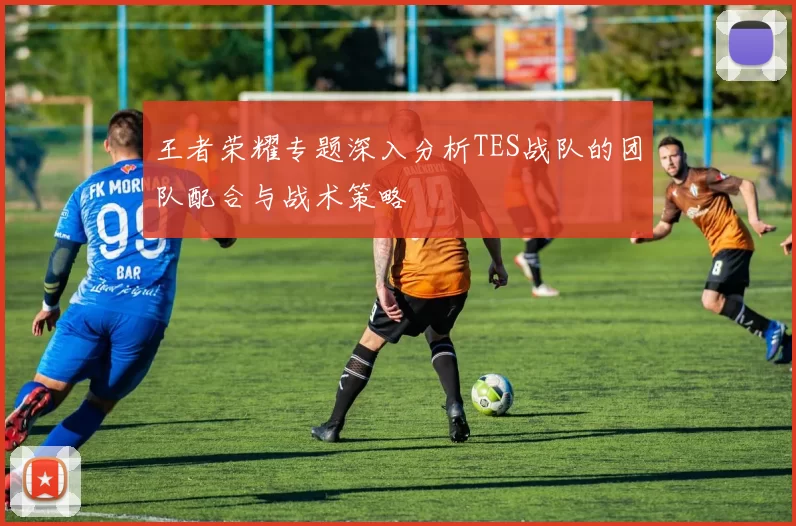 王者荣耀专题深入分析TES战队的团队配合与战术策略