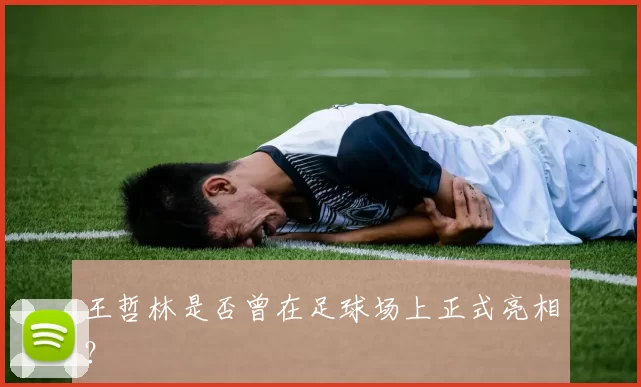 王哲林是否曾在足球场上正式亮相？