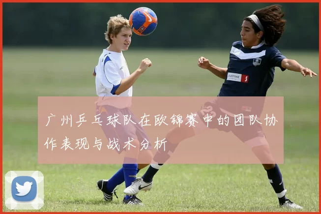 广州乒乓球队在欧锦赛中的团队协作表现与战术分析