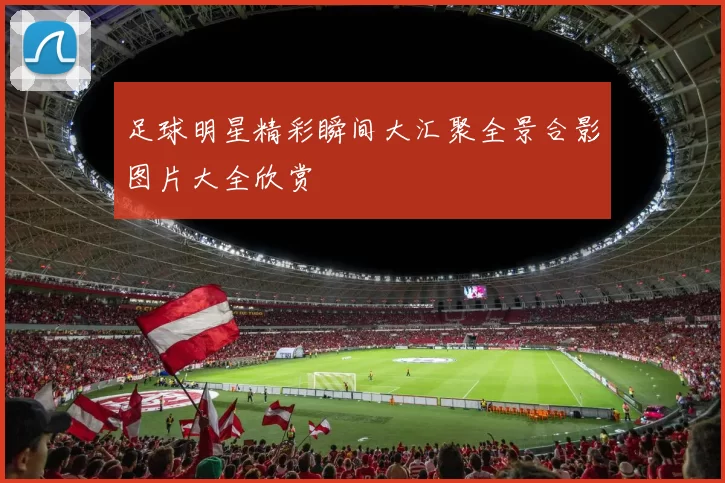 足球明星精彩瞬间大汇聚全景合影图片大全欣赏