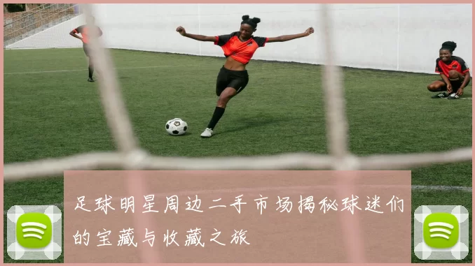 足球明星周边二手市场揭秘球迷们的宝藏与收藏之旅