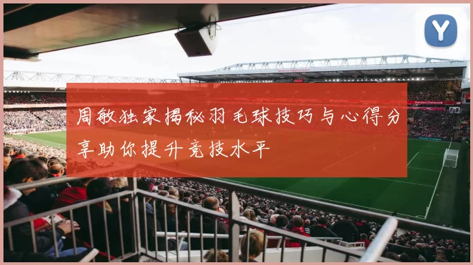 周敏独家揭秘羽毛球技巧与心得分享助你提升竞技水平
