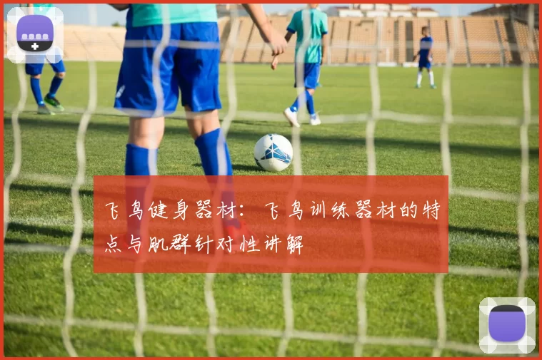 飞鸟健身器材：飞鸟训练器材的特点与肌群针对性讲解