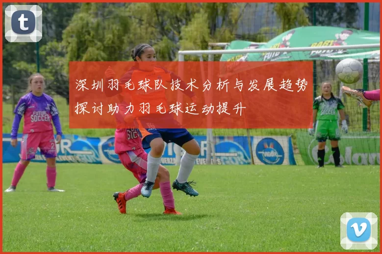 深圳羽毛球队技术分析与发展趋势探讨助力羽毛球运动提升