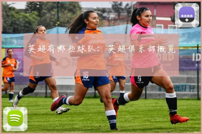 英超有哪些球队：英超俱乐部概览