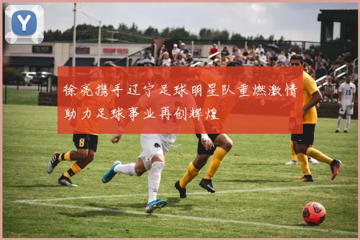徐亮携手辽宁足球明星队重燃激情助力足球事业再创辉煌