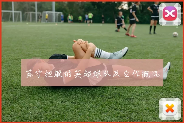 苏宁控股的英超球队及合作概况