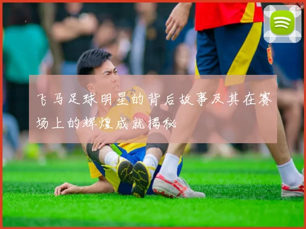 飞马足球明星的背后故事及其在赛场上的辉煌成就揭秘