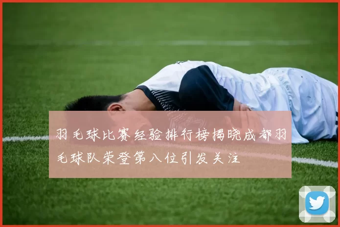 羽毛球比赛经验排行榜揭晓成都羽毛球队荣登第八位引发关注