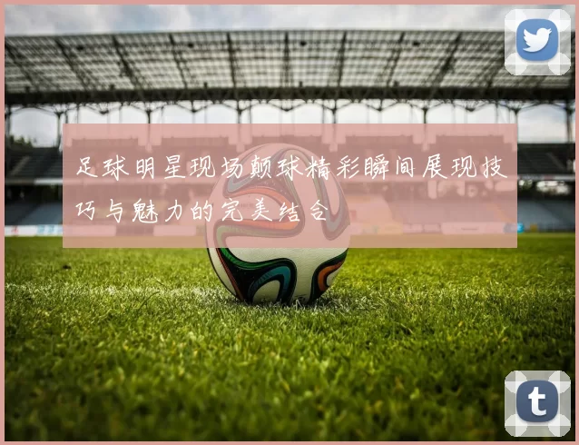 足球明星现场颠球精彩瞬间展现技巧与魅力的完美结合