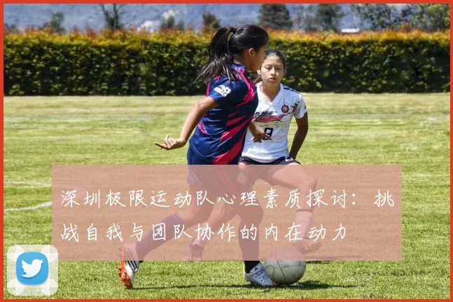 深圳极限运动队心理素质探讨：挑战自我与团队协作的内在动力